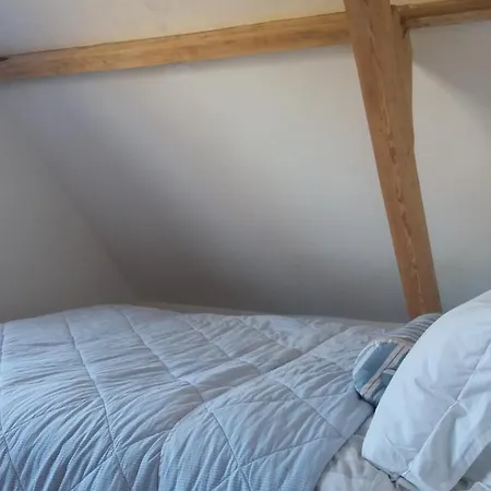 Bed and Breakfast Waalzicht *